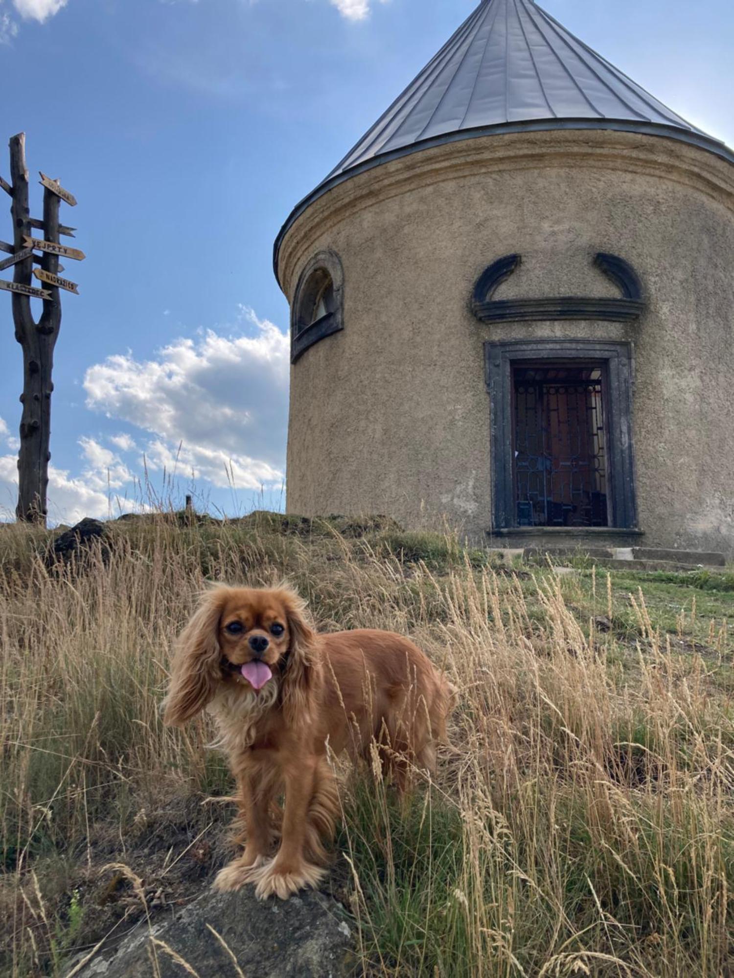 Apartmán u Klínovce Kovářská Esterno foto